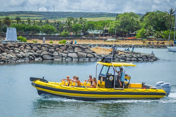 1.5-Hour Guided Whale Watching Tour - North Shore Stop: Surf-Signaling Weather and Wildlife Hotspot Thinking