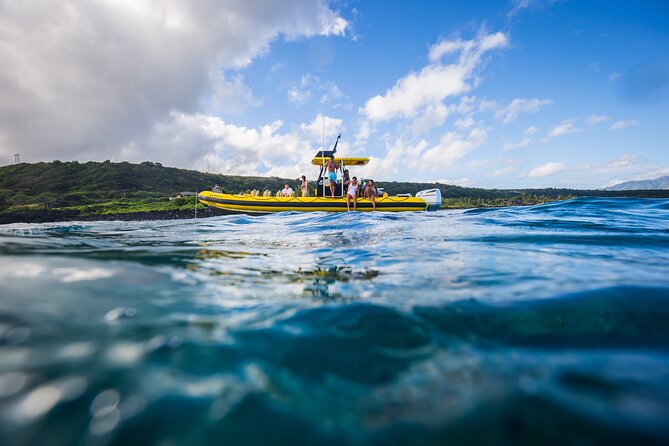 1.5-Hour Guided Whale Watching Tour - Comfort Tips That Will Make You Enjoy the Ride More