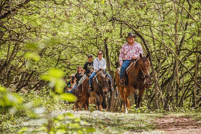 1 Hour Scenic Horseback Ride - Quick Reality Check Before You Go