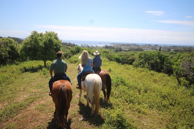 1 Hour Scenic Horseback Ride - Why This 1-Hour Ride Is Such Good Value on Oahu
