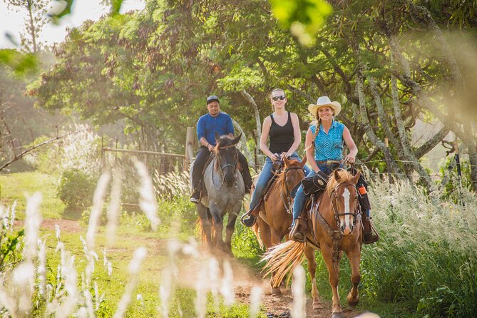 1 Hour Scenic Horseback Ride - The Hidden Cave Moment: Where It Fits and What to Expect