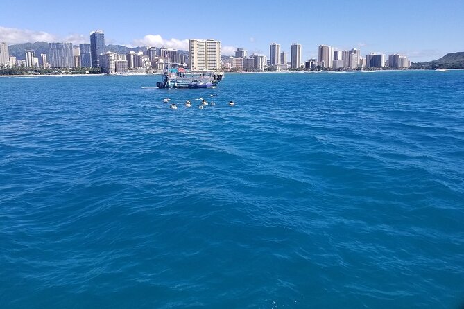 12pm Turtle Canyon Snorkel Adventure - Turtle Canyon snorkeling: how the guide experience changes what you see