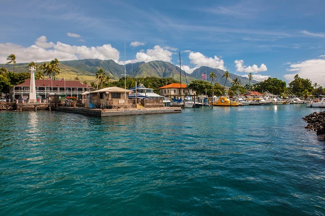 2-Hour Oahu Whale Watch from Ala Wai Harbor, Waikiki - From Waikiki waterline to humpback season (Dec–May)