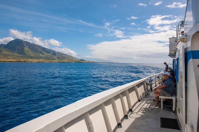 2-Hour Oahu Whale Watch from Ala Wai Harbor, Waikiki - BYOB and snacks: a small money move that feels big