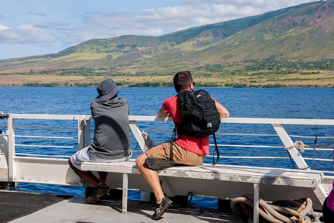2-Hour Oahu Whale Watch from Ala Wai Harbor, Waikiki - Price and value: is $49.95 a fair deal?