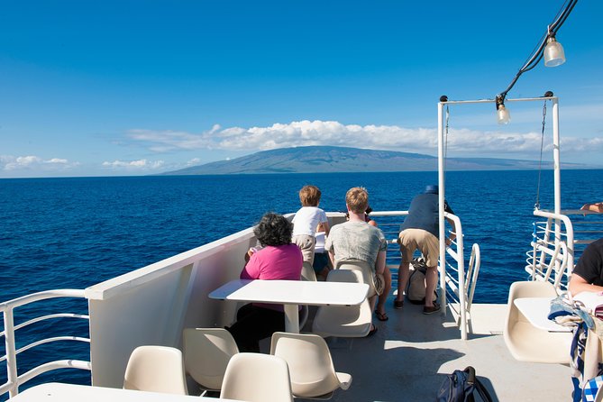 2-Hour Oahu Whale Watch from Ala Wai Harbor, Waikiki - Who this whale watch fits best in your Waikiki plans