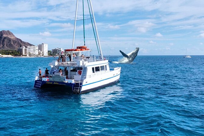 2 Hour Waikiki Whale Watching Cruise from Oahu - Key highlights worth planning around