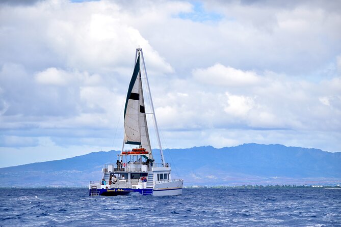 2 Hour Waikiki Whale Watching Cruise from Oahu - Price and value math: $40 plus the $7 fuel surcharge