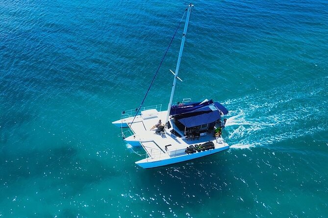 2 Hour Waikiki Whale Watching in Honolulu - Price and Value: Is $79 Worth It in Waikiki?