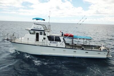 3-Hour Honolulu Bottom Fishing Adventure - The 3-Hour Flow: Nearshore Scenery to Offshore Grounds