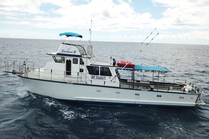 3-Hour Honolulu Bottom Fishing Adventure - The Boat Ride + Bottom-Fishing Plan: How the Action Plays Out