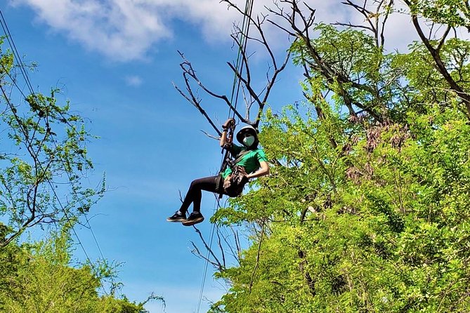 3 Zipline Adventure at Coral Crater with Optional Waikiki Shuttle - Where to go and how pickup works near Waikiki
