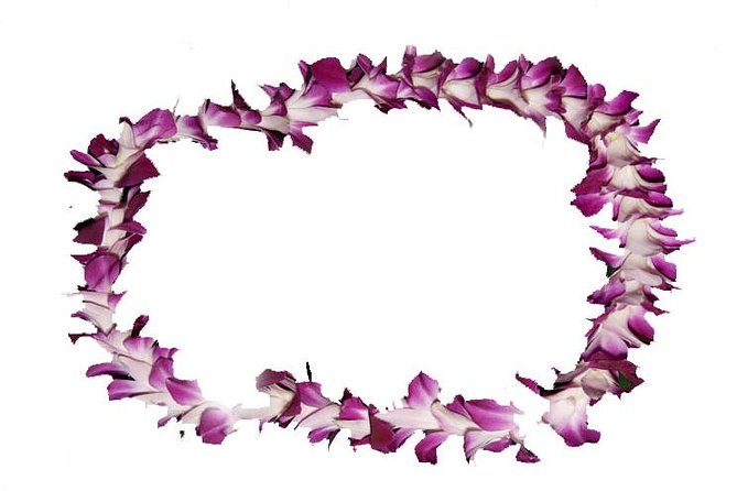 Aloha Lei Greeting on Arrival in Honolulu - Key Highlights Worth Your Attention