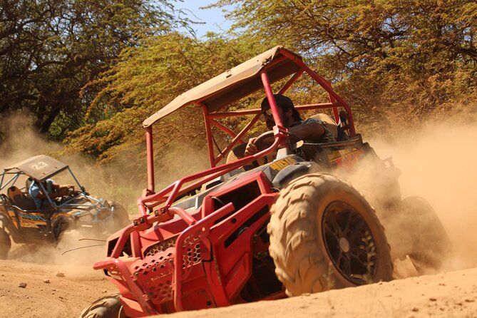ATV Off Road Adventure - Key Things That Make This ATV Tour Worth Your Time