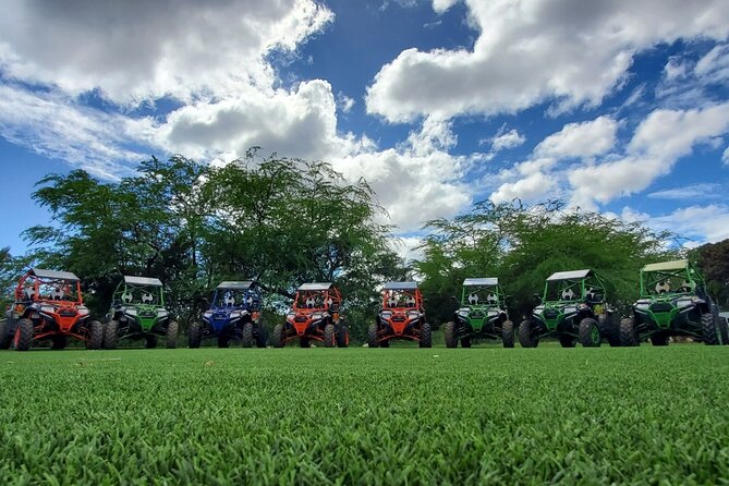 ATV Off Road Adventure - Price and Value: Is $154.98 Worth It?