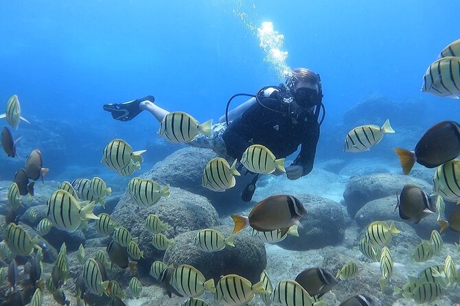 Beginner Scuba Diving Experience with Video Package in Honolulu - Magic Island Lagoon by Waikiki: why this sheltered water helps first-timers