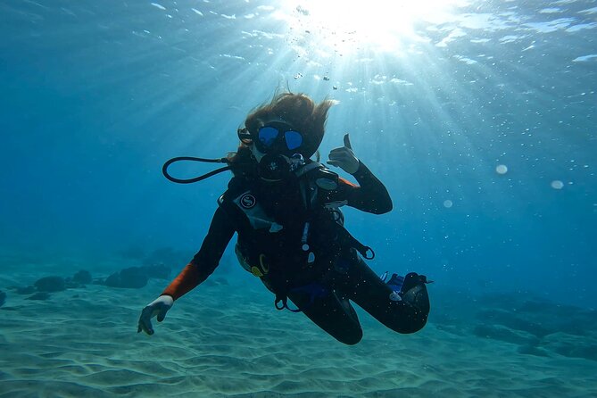 Beginner Scuba Diving Experience with Video Package in Honolulu - The guided underwater time: what 20–30 minutes is really like