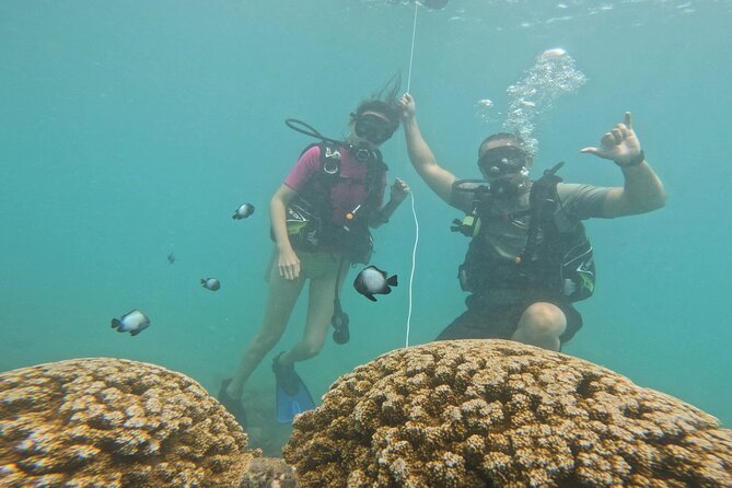 Beginner Scuba Diving Experience with Video Package in Honolulu - The included video package: capturing your first time underwater
