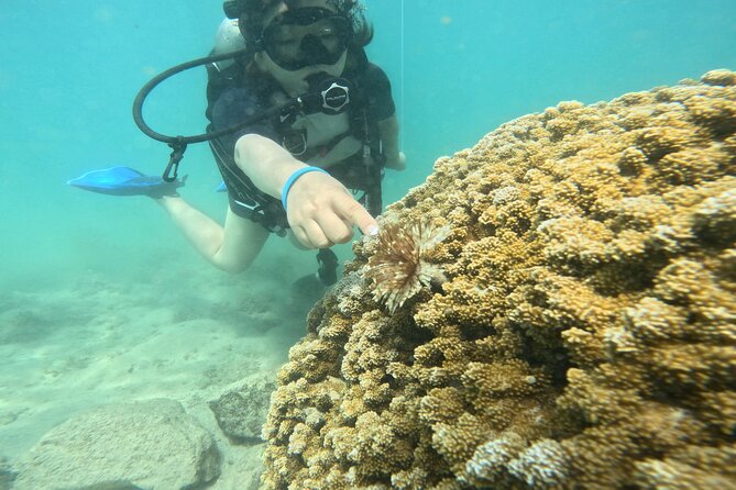 Beginner Scuba Diving Experience with Video Package in Honolulu - Meeting Kyle and your tiny group: safety that feels personal