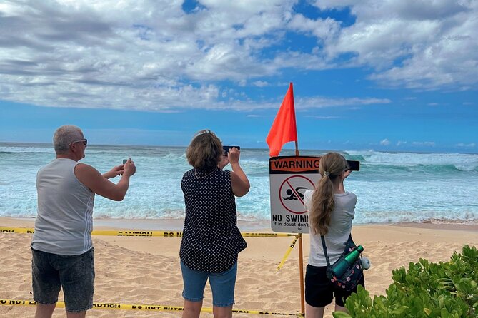 Best of Oahu Full-Day Small-Group Island Tour - The big idea: a circle tour that keeps Oahu feeling human