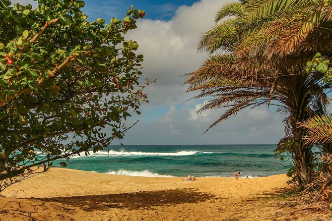 Best of Oahu: Pearl Harbor & Oahu Circle Island Tour from Waikiki - Tropical Farms (macadamia stop): samples, coffee, and a small local rhythm