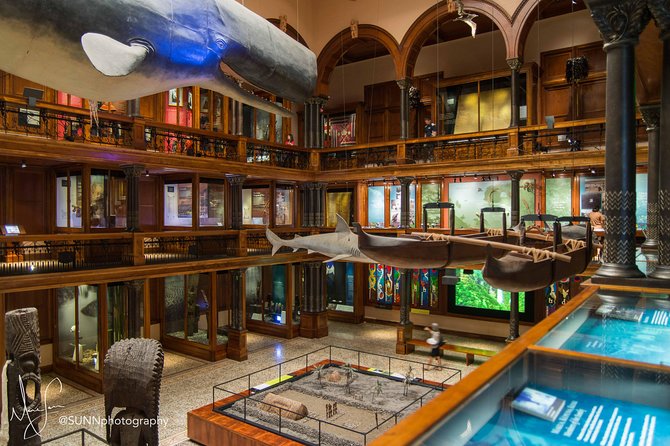 Bishop Museum General Admission Ticket - Hawaiian Hall Complex: The Best First Stop for Hawaiian History and Culture