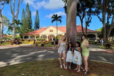 Byodo In Temple, Waimea Botanical Garden-Waterfall: Includes Fees - Early road passbys: Waikiki energy, whale season timing, and classic viewpoints