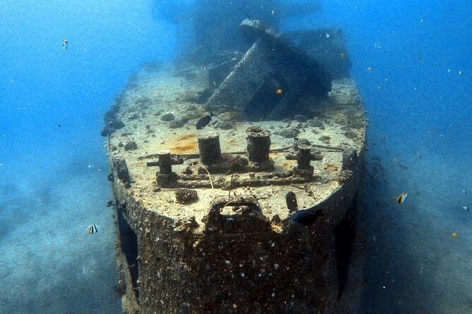 Certified Diver: 2-Tank Deep Wreck and Shallow Reef Dive Off Oahu - One Morning, Two Underwater Worlds Off Oahu’s South Shore