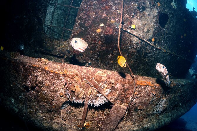 Certified Diver: 2-Tank Deep Wreck and Shallow Reef Dive Off Oahu - Captain and Scuba Guides: Why the Crew Really Changes the Day