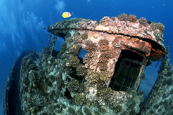 Certified Diver: 2-Tank Deep Wreck and Shallow Reef Dive Off Oahu - Two Tanks, Two Depths, and How to Think About Your Day