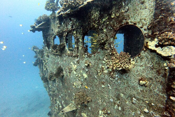 Certified Diver: 2-Tank Deep Wreck and Shallow Reef Dive Off Oahu - Sea Tiger Wreck: Depth, Light, and Wildlife Without the Rush