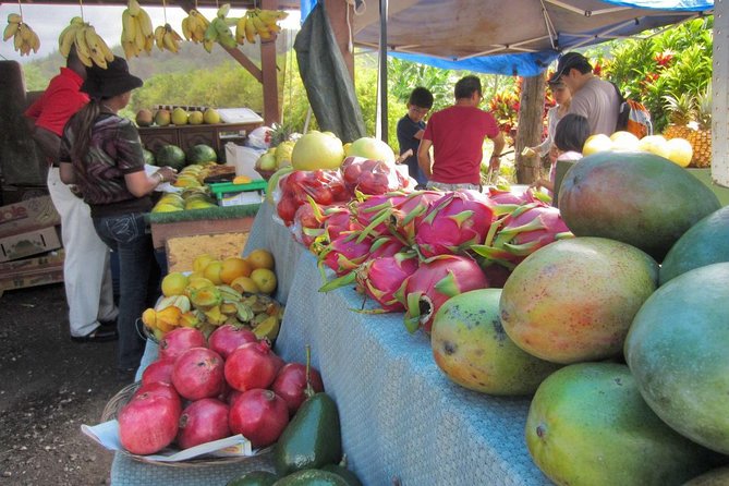Custom Island Tour - for 4 to 5 people - up to 8 hours - Private tour of Oahu - Dole Plantation and Food Stops Without Wasting Time