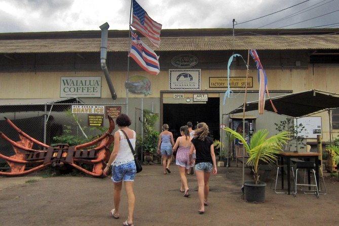 Custom Island Tour - for 4 to 5 people - up to 8 hours - Private tour of Oahu - North Shore Surf Country and Turtle Snorkel Options