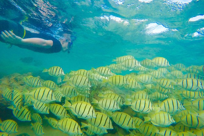 Customizable Island Tours Tours on Oahu - The stop list you can look forward to
