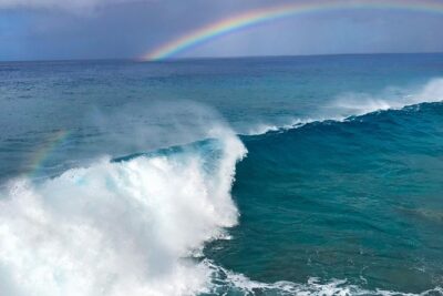 Customizable Island Tours Tours on Oahu - How the itinerary takes shape (and how to steer it)