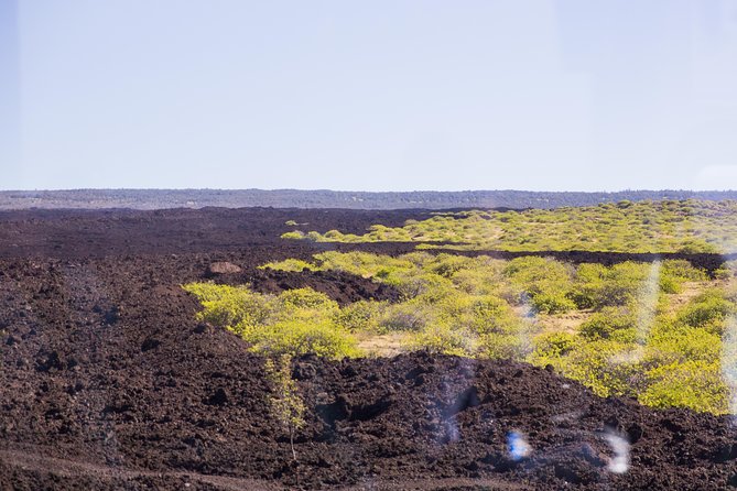 Day Trip from Oahu to Hilo: Volcano Adventure - Why This Volcano Day Feels Like Two Trips in One