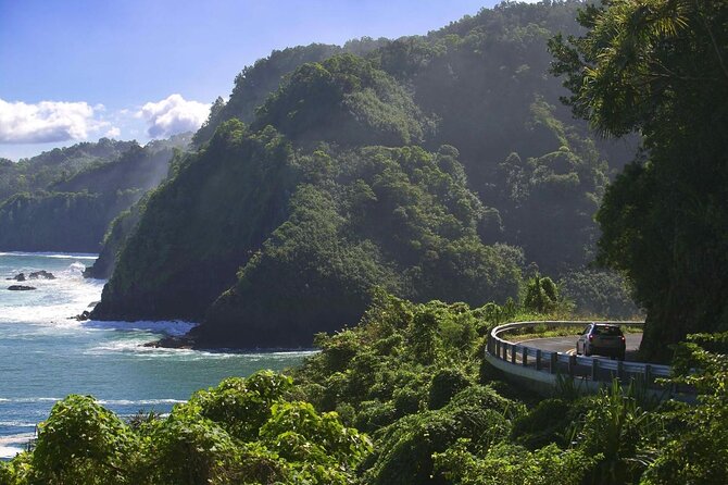 Day Trip from Oahu to Maui: Road to Hana Adventure - Quick hits on the Road to Hana day trip