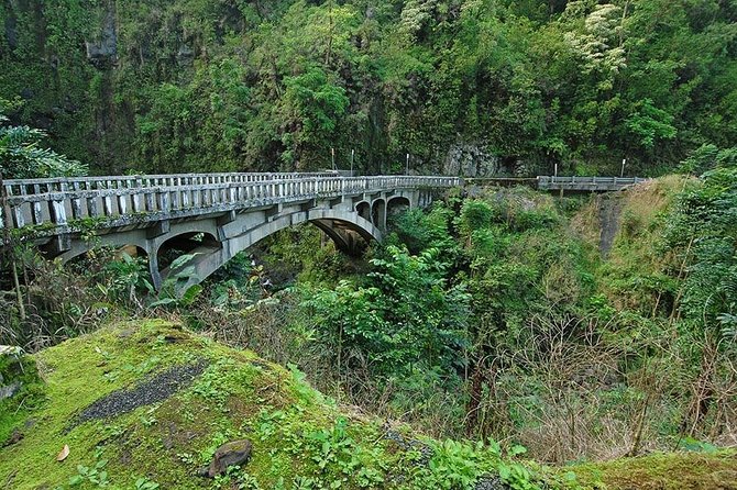 Day Trip from Oahu to Maui: Road to Hana Adventure - How the guide changes the vibe (and your photos)