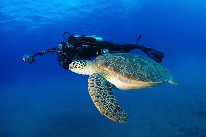DISCOVER Scuba Diving Experience in Honolulu - Equipment and “What’s Included” Value Check