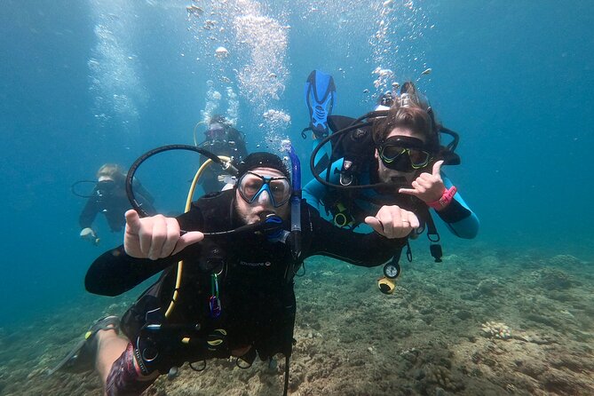 Discover Scuba Diving in Hawaii - Non certified divers! - Meet at Maunalua Bay Beach Park, Then Get Water-Safe