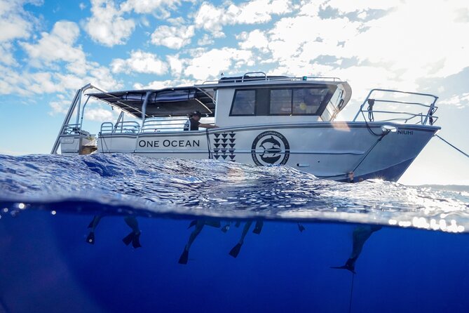 Dive with Sharks in Hawaii: Shark Tour from Haleiwa - Haleiwa Harbor to the shark zone: quick ride, clear purpose