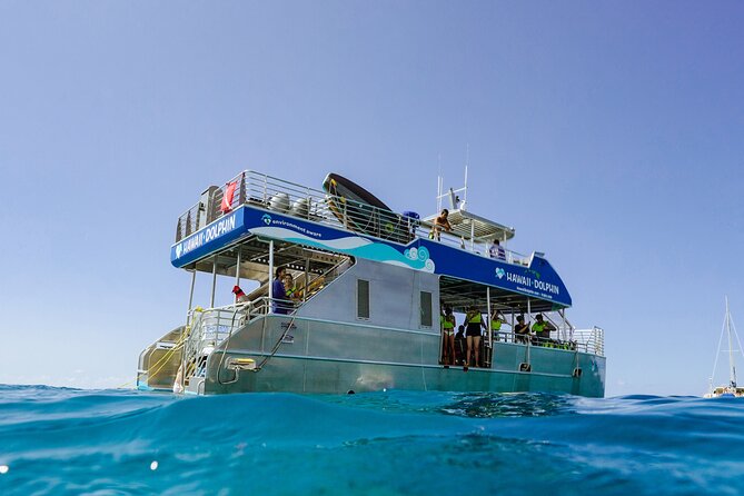 Dolphin Watch Cruise with Waterslide & Snorkeling on Oahu - Why this dolphin cruise mixes wildlife and water-slide fun