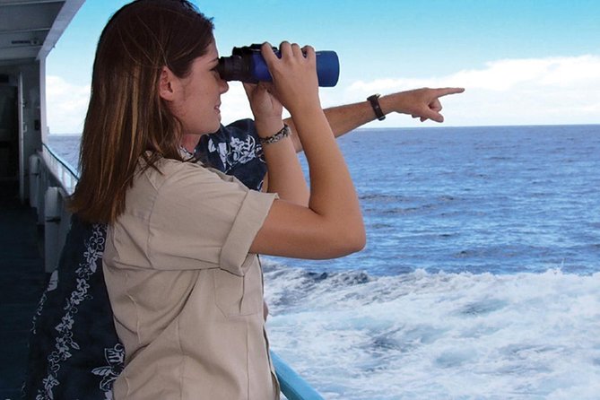 Early Bird Whale Watching Cruise from Waikiki - Meeting at Aloha Tower: your 9:15 am head start