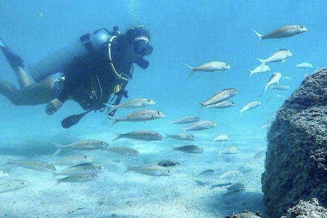 First-Time Scuba Diving in Honolulu + Free Videos - The water portion: what happens during the session near Ala Moana