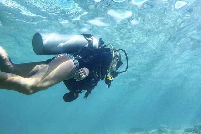 First-Time Scuba Diving in Honolulu + Free Videos - Price and value: is $89 a good deal for a first-timer?