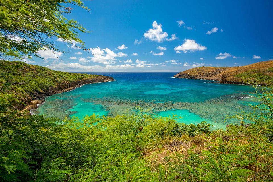 From Waikiki: Best of Oahu Photo Tour with Pickup - The Secret Stop and Tantalus Lookout: Short Windows, Better Angles