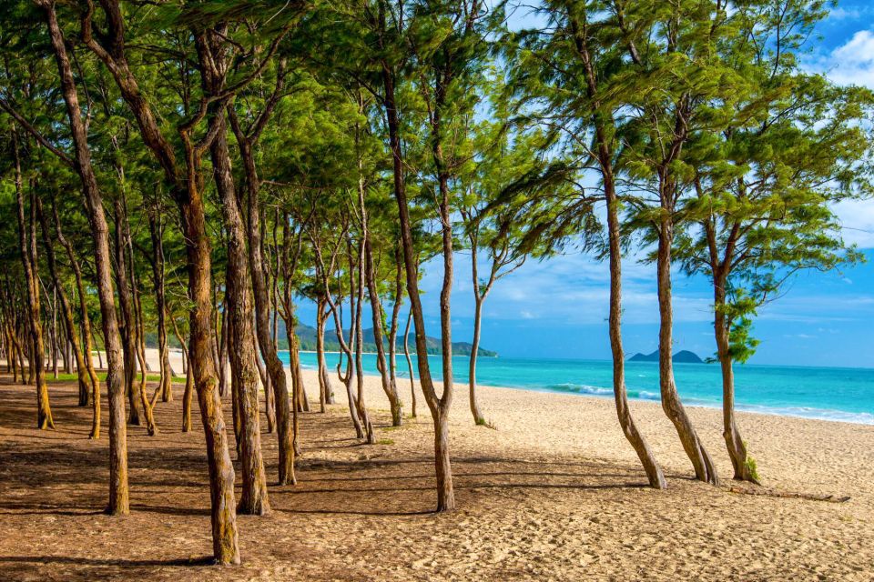From Waikiki: Best of Oahu Photo Tour with Pickup - Ono Steak and Shrimp Shack Lunch: Eat Local Without Breaking the Day