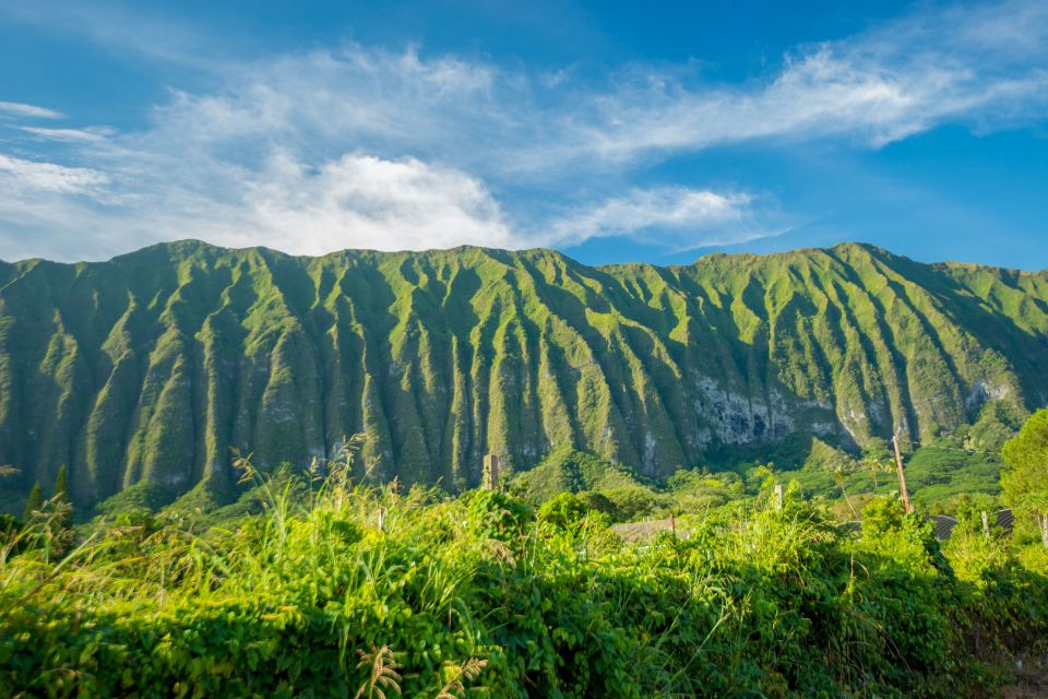 From Waikiki: Best of Oahu Photo Tour with Pickup - Makapu’u Point and Sandy’s Beach Lookout: Blue Water and Clean Compositions