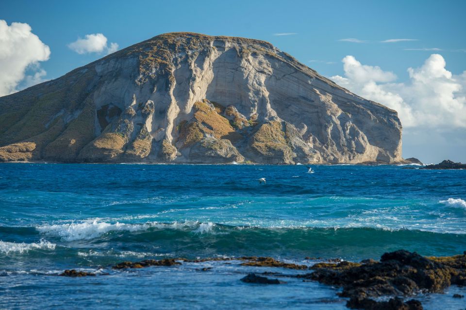 From Waikiki: Best of Oahu Photo Tour with Pickup - Halona Beach Cove and the Blowhole: Lava-Made Drama for Real Photos