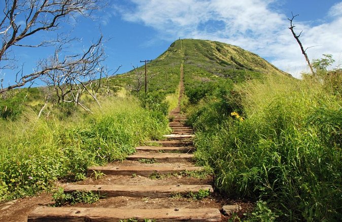 Full-Day Guided Adventure in Koko Head Stairs and Southeast O'ahu - Key highlights you’ll care about